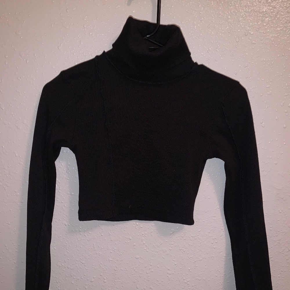 Crop turtleneck